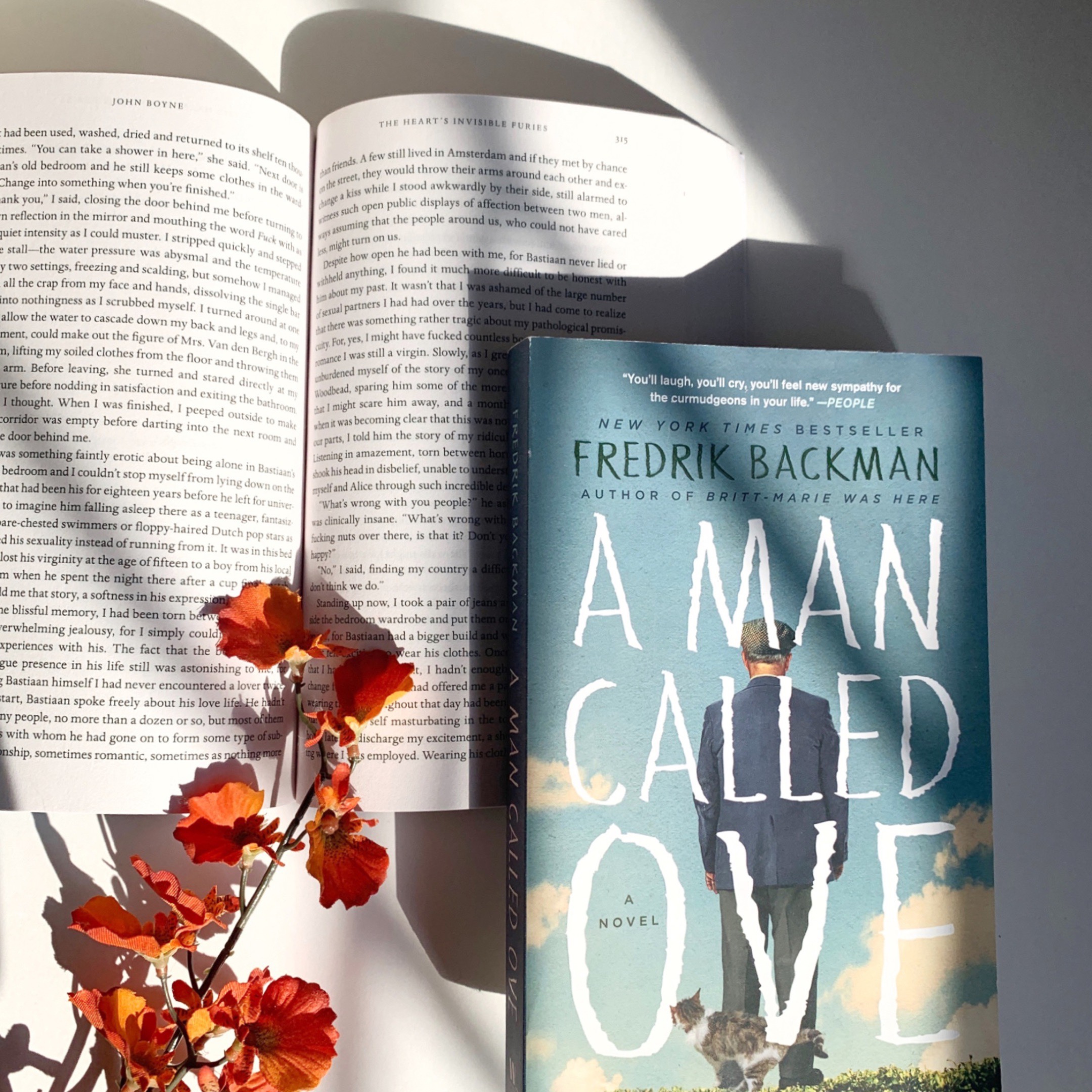 A Man Called Ove cover